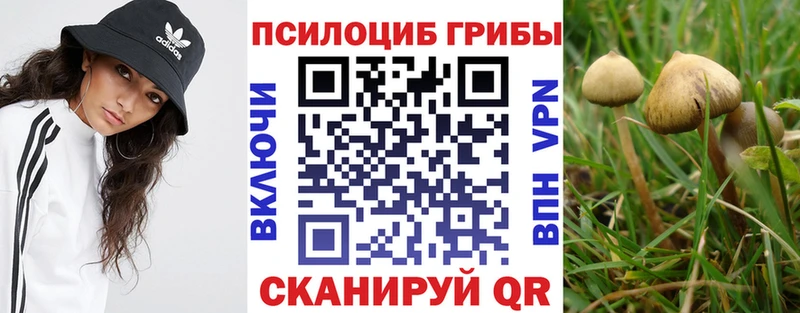 как найти   Тверь  Галлюциногенные грибы прущие грибы 